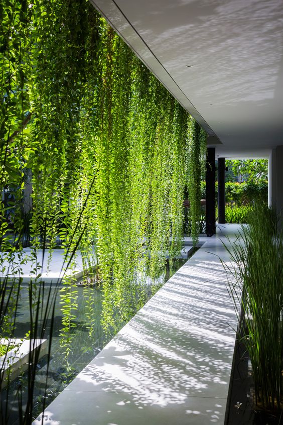 Vertical Living Green Wall