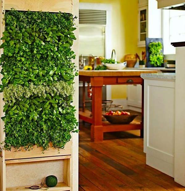 Indoor Garden Ideas to Green Your Apartment