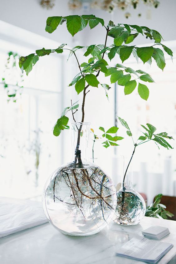 Indoor Garden Ideas to Green Your Apartment