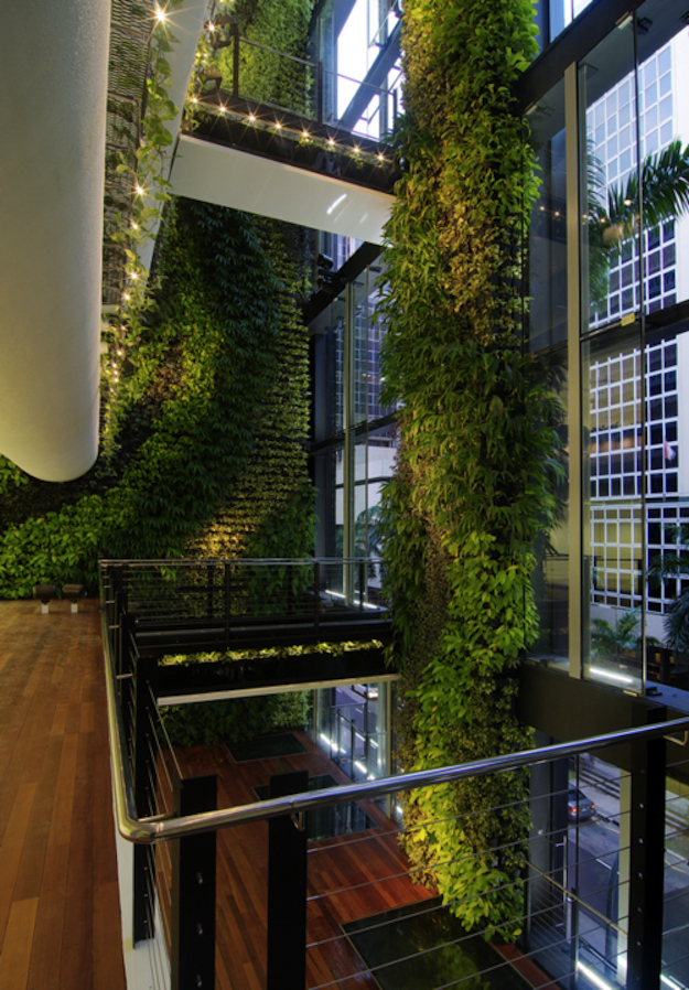 Vertical Living Green Wall