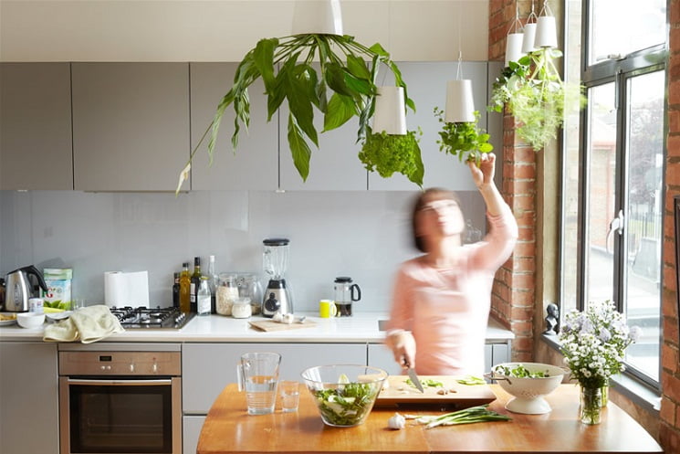 Indoor Garden Ideas to Green Your Apartment:, herbs growing diy