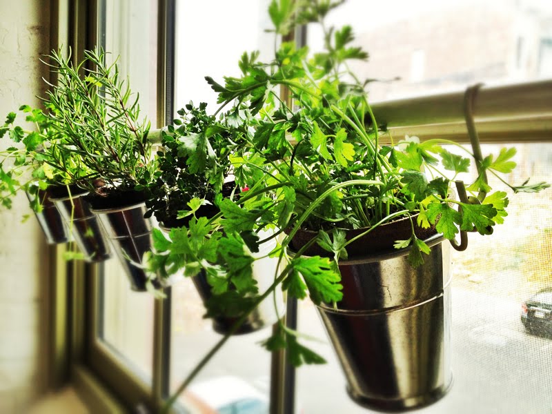 windowsill ikea hack for indoor garden